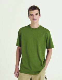 AWDis T AT002 khaki plain t-shirt on a male model